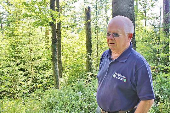 Heinrich Vierlinger Wanderführer im Nationalpark Bayerischer Wald